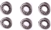 Elektromotor-Glossar-Blog Rillenkugellag KEINE - hier zum Vergleich Zylinderrollenlager - die ohne Kugeln, im Bild 3 oben 3 unten, klar zu sehen die Zylinderrollen..